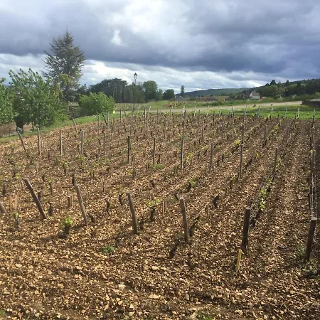 Les Hauts De Fixin, 50M2 Avec Exterieur Sur La Route Des Grands Crus, Dijon Sud Exterior photo