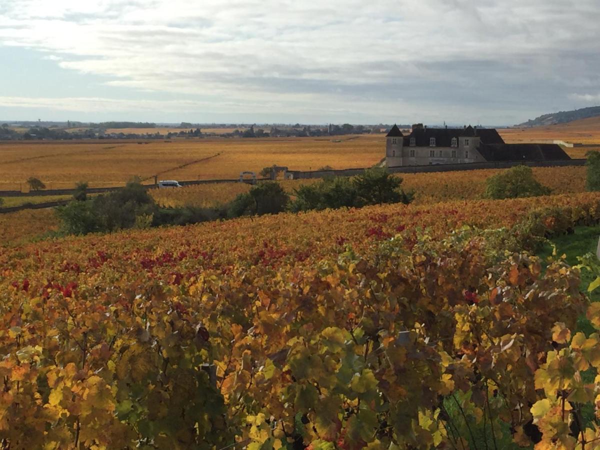 Les Hauts De Fixin, 50m2 Avec Extérieur Sur La Route Des Grands Crus, Dijon Sud Сasa de vacaciones *