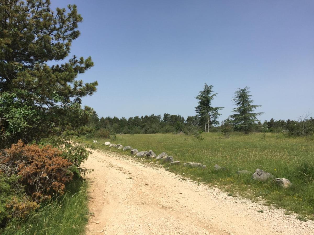 Les Hauts De Fixin, 50m2 Avec Extérieur Sur La Route Des Grands Crus, Dijon Sud *